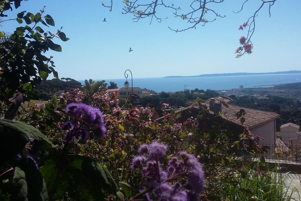 Studio 4 Pers Coeur Du Lavandou 5Mn A Pied Des Plages Le Lavandou Exteriör bild
