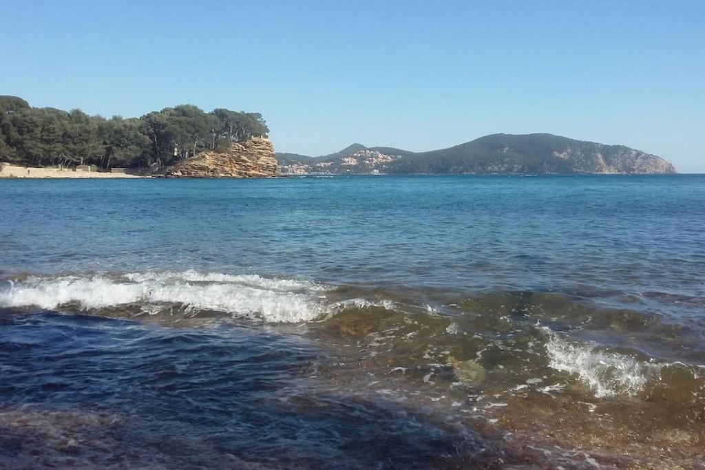 Studio 4 Pers Coeur Du Lavandou 5Mn A Pied Des Plages Le Lavandou Exteriör bild